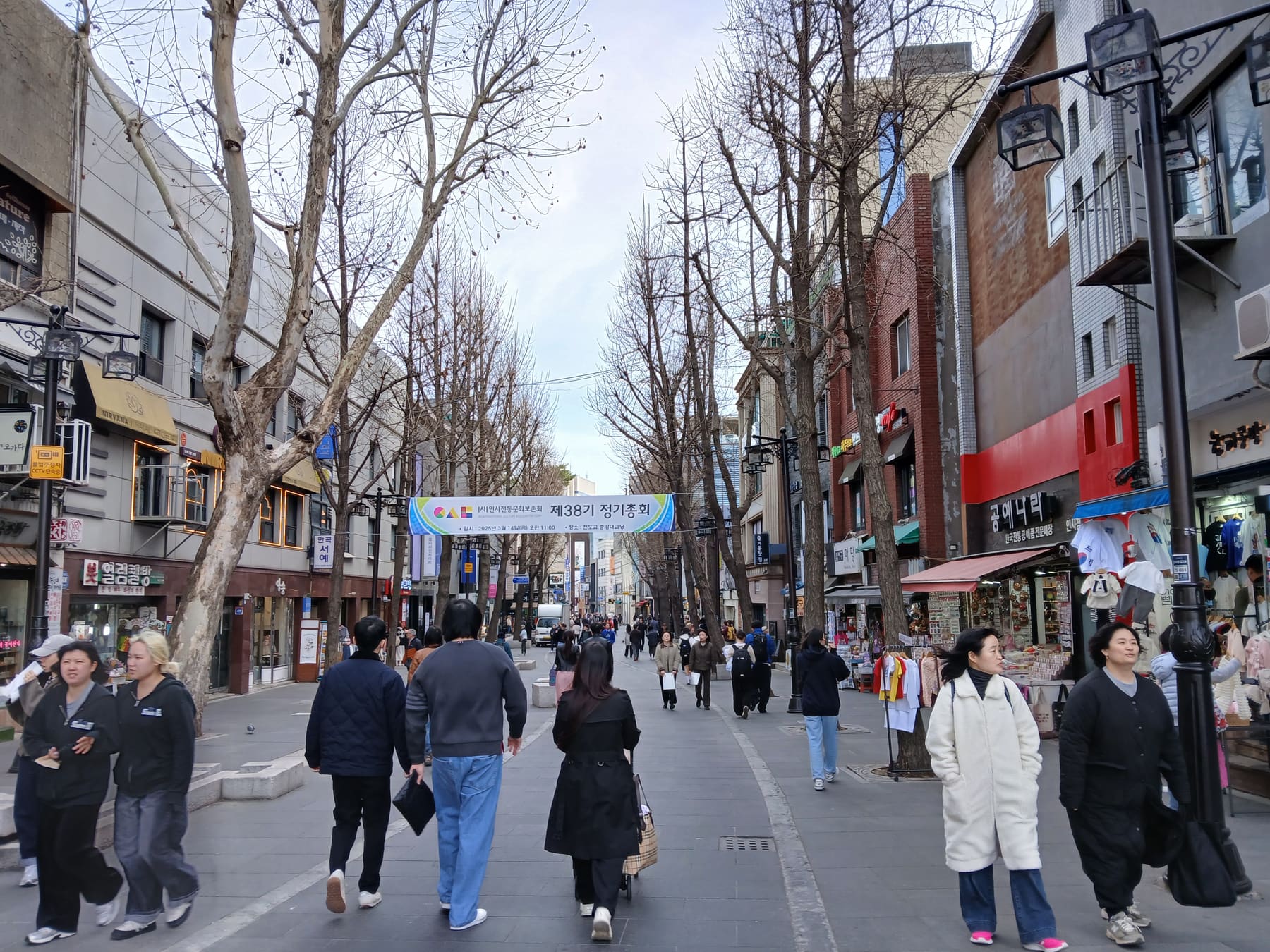 A pedestrian street in Insadong, Seoul, lined with bare trees and shops with Korean signs